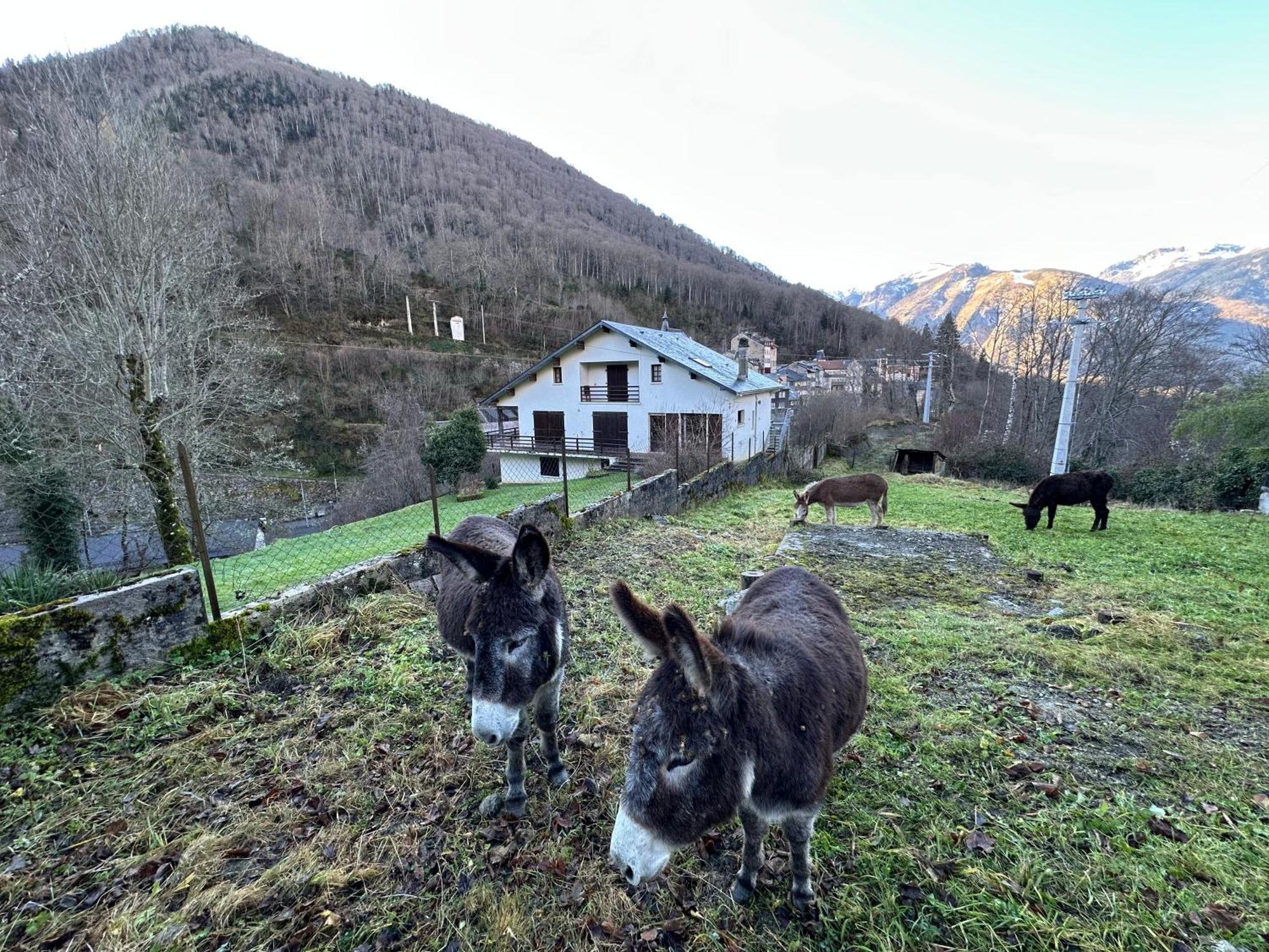 Chalet Artigalas Eaux-Bonnes Buitenkant foto